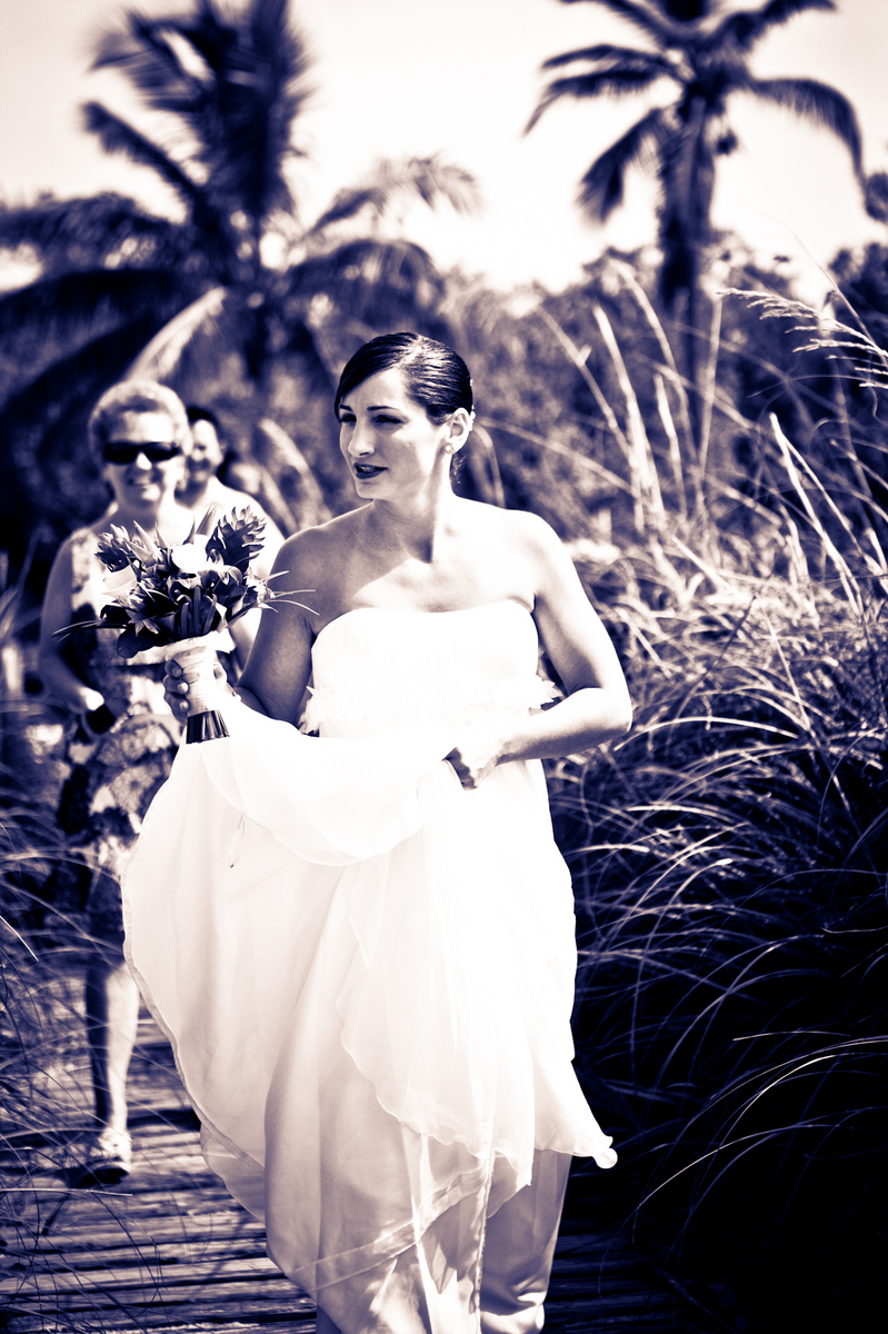  : David & Sabrina : Bride & Joy Wedding, Family, and Commercial Portrait Photography: Bride-and-Joy.com